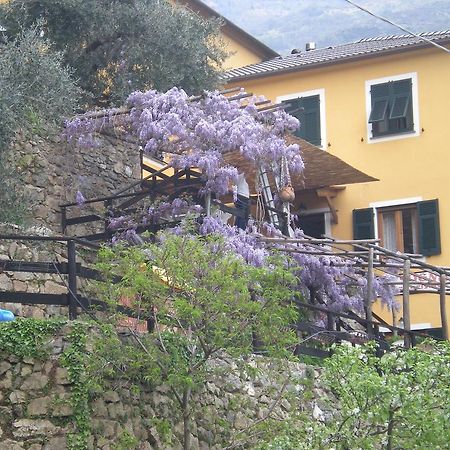 Agriturismo Il Sogno Lorsica Екстериор снимка