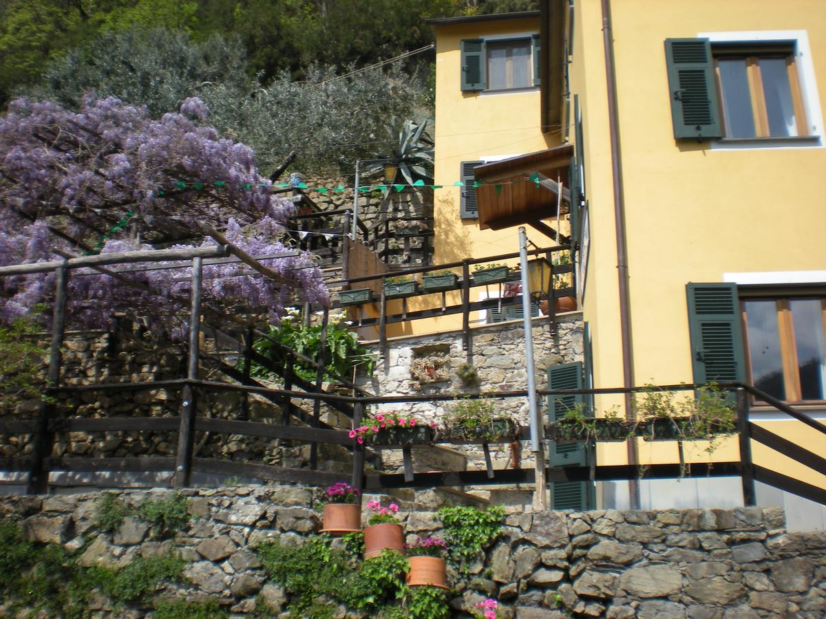 Agriturismo Il Sogno Lorsica Екстериор снимка